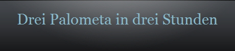 Drei Palometa in drei Stunden