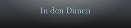 In den D�nen