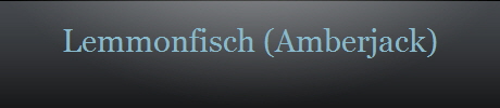 Lemmonfisch (Amberjack)