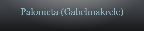 Palometa (Gabelmakrele)