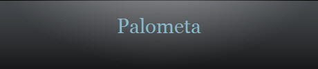 Palometa