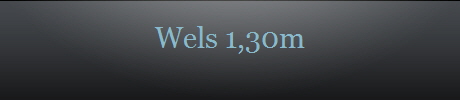Wels 1,30m