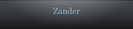 Zander